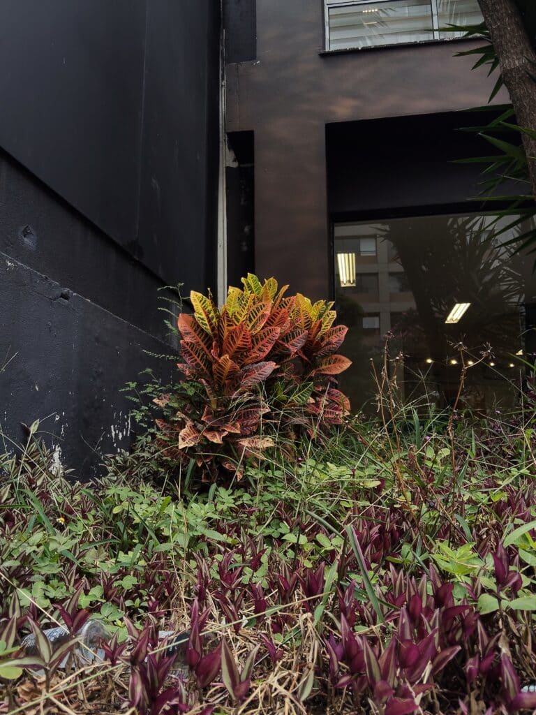 Review: Oppo Reno13 F 5G memadukan daya tahan tinggi dengan kekuatan AI Ulasan: oppo reno13 f 5g menggabungkan daya tahan tinggi dengan kekuatan ai. Ponsel pintar Oppo memiliki perlindungan IP69 terhadap air dan debu, mode fotografi bawah air, dan bahkan AI yang mengoreksi foto. Semua ini dipadukan dengan baterai yang bagus dan harga yang menarik. Simak analisisnya