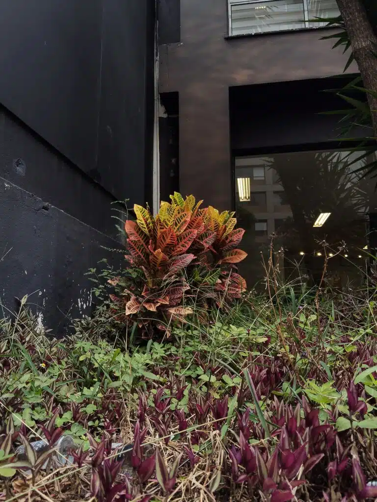 Review: oppo reno13 f 5g combina alta resistência com o poder da ia Review: oppo reno13 f 5g combina alta resistência com o poder da ia. Smartphone da oppo tem proteção ip69 contra água e poeira, modo de fotografia subaquática e até ia que corrige fotos. Tudo isso, aliado a uma boa bateria e preço atrativo. Confira a análise