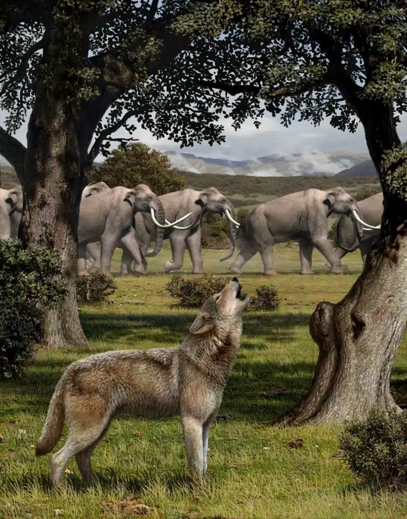 Cientistas revivem lobo pré-histórico extinto há mais de 12 mil anos Animação de lobo-pré-histórico extinto