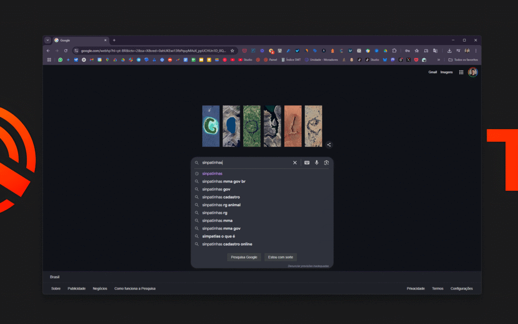 How to make an animal ID on Sinpatinhas Initial step on how to access the sinpatinhas system