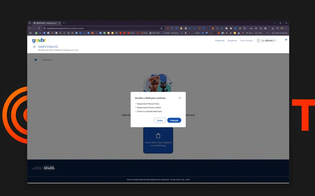How to make an animal ID on Sinpatinhas Profile selection screen