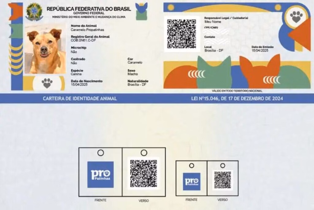 Exemplo de rg no sinpatinhas
