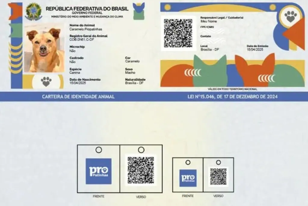 How to make an animal ID on Sinpatinhas Example of rg in sinpatinhas