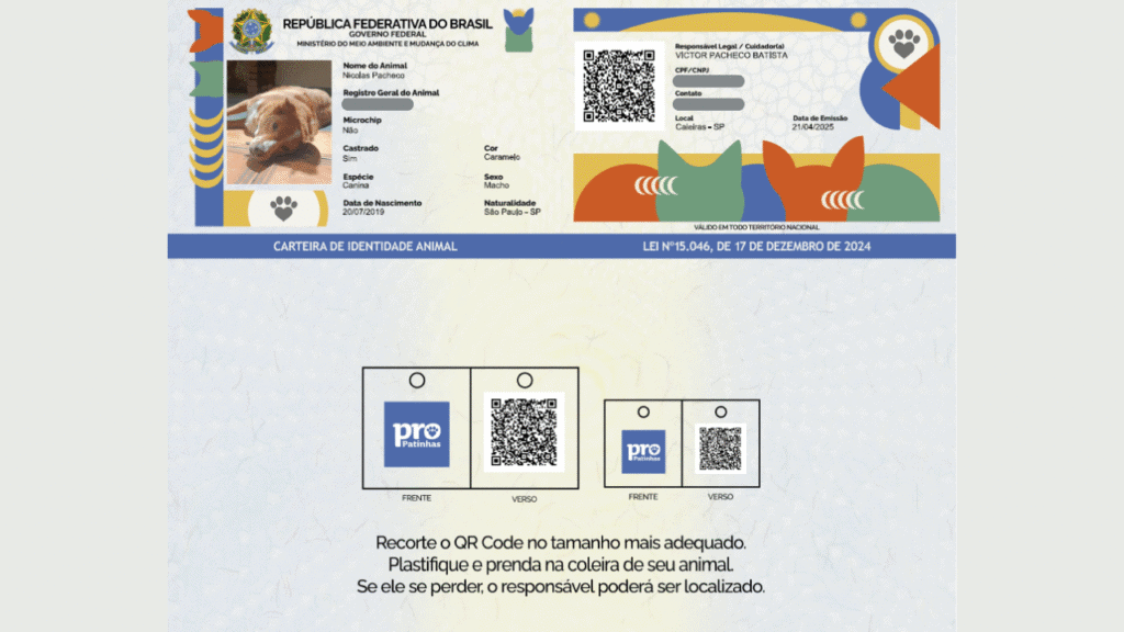 Documento gerado pelo sistema do governo tem qr code escaneável (captura de tela: victor pacheco/showmetech)