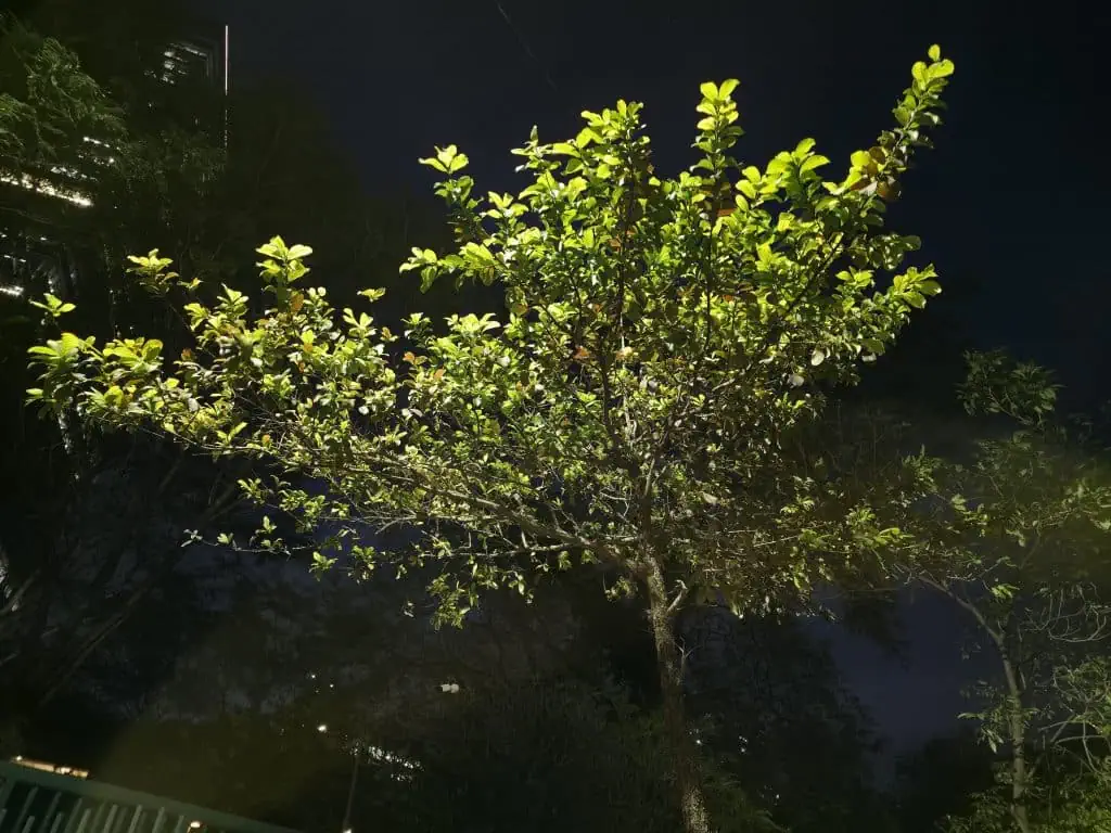 Review: galaxy s25 edge vai fazer você desejar um smartphone ultrafino Foto noturna tirada pelo galaxy s25 edge