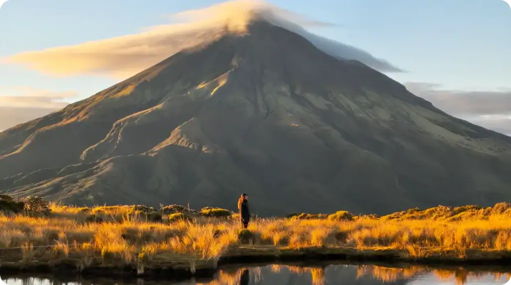 Понять, для чего нужна каждая камера мобильного телефона (объективы и преимущества) Фото сделано широкоугольной камерой с увеличением 1x