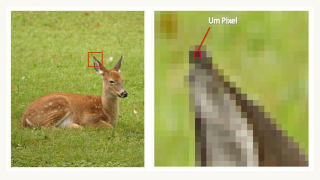 Понять, для чего нужна каждая камера мобильного телефона (объективы и преимущества) Пример пикселя