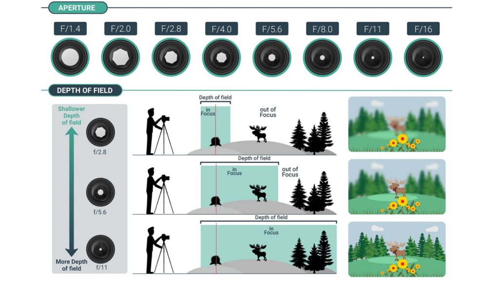 Понять, для чего нужна каждая камера мобильного телефона (объективы и преимущества) Изображение, поясняющее принцип работы диафрагмы объектива