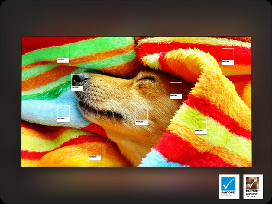 المراجعة: يعد تلفزيون Samsung QLED 4K Q7F الذكي خيارًا جيدًا لجميع أفراد الأسرة. تلفزيون سامسونج الذكي QLED 4K Q7F حاصل على شهادة بانتون