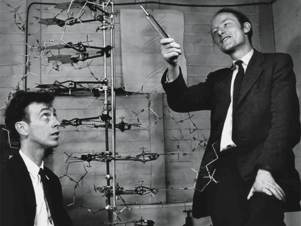 Conheça os 30 mais influentes ganhadores do prêmio nobel Ganhadores prêmio nobel