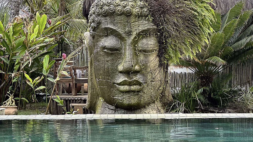 The dangers of toxic travel in the age of social media. Instagrammable settings replace authentic landscapes.