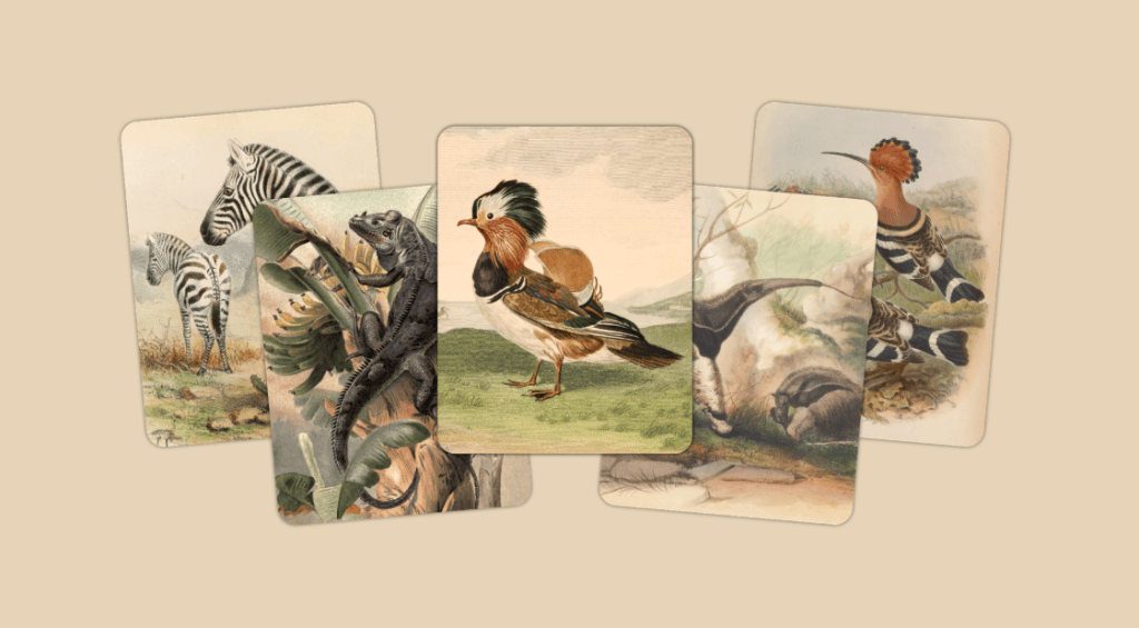 Veja os melhores aplicativos e jogos do ano segundo a apple (2025) Imagem: art of fauna