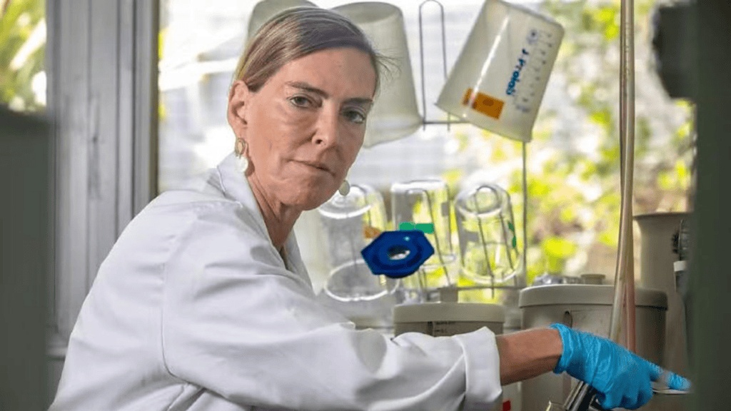 Saiba tudo sobre a polilaminina, a substância que regenera lesões na medula Técnico de laboratório manipulando substância para regeneração da medula espinhal.