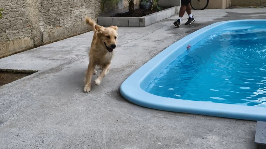 Review: jovi v70 5g tem super bateria e câmera com 200mp Foto feita com o jovi v70 5g