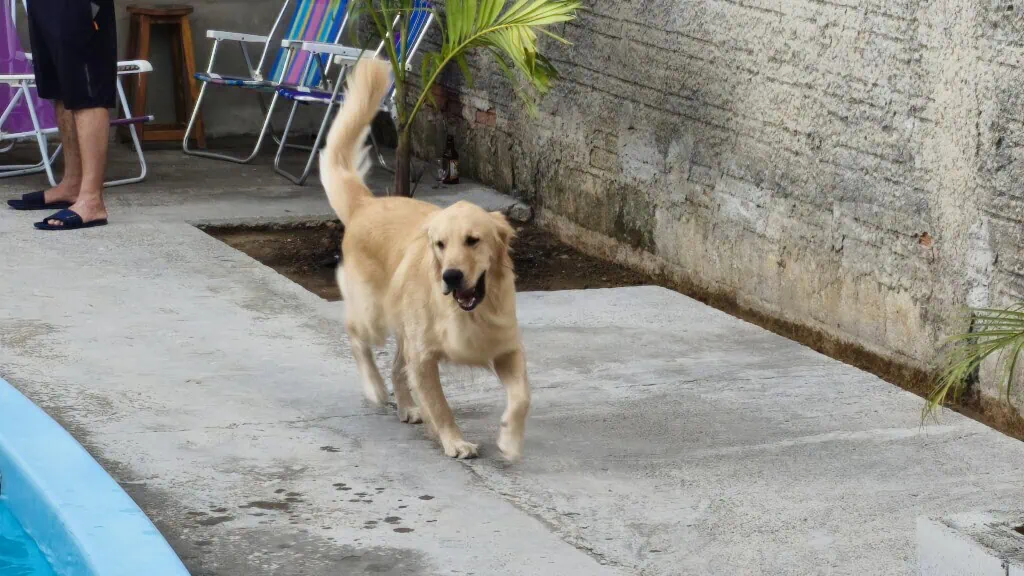 Review: jovi v70 5g tem super bateria e câmera com 200mp Foto feita com o jovi v70 5g