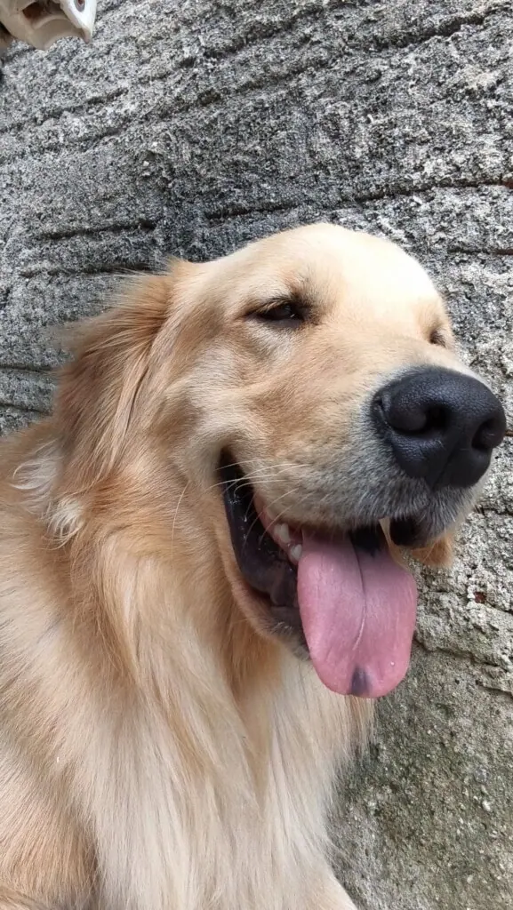 Review: jovi v70 5g tem super bateria e câmera com 200mp Foto feita com o jovi v70 5g