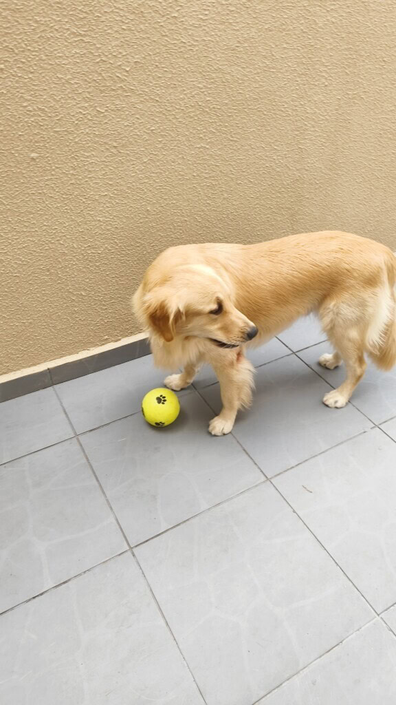 Review: jovi v70 5g tem super bateria e câmera com 200mp Foto feita com o jovi v70 5g