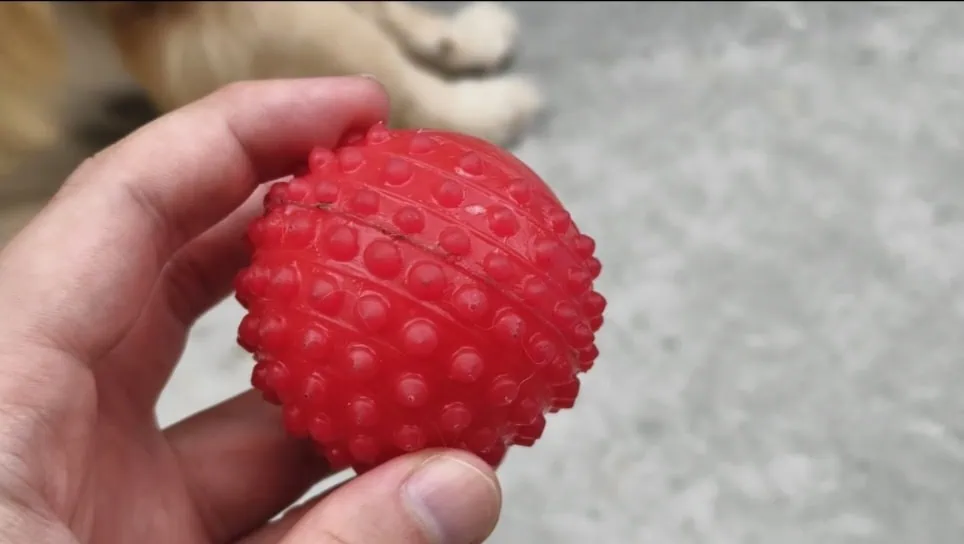 Review: jovi v70 5g tem super bateria e câmera com 200mp Review: jovi v70 5g tem super bateria e câmera com 200mp. Sucessor do v50 5g chega com bateria gigante de 7000 mah, lente de 200mp com estabilização em vídeos, além de manter o flash com ring light. Confira o que achamos no review completo