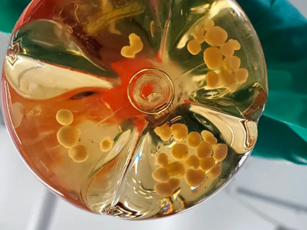 18 tendências de tecnologia vistas no sxsw 2026 18 tendências de tecnologia vistas no sxsw 2026