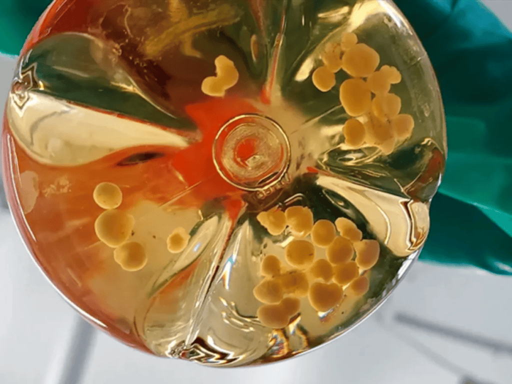 18 tendências de tecnologia vistas no sxsw 2026 18 tendências de tecnologia vistas no sxsw 2026