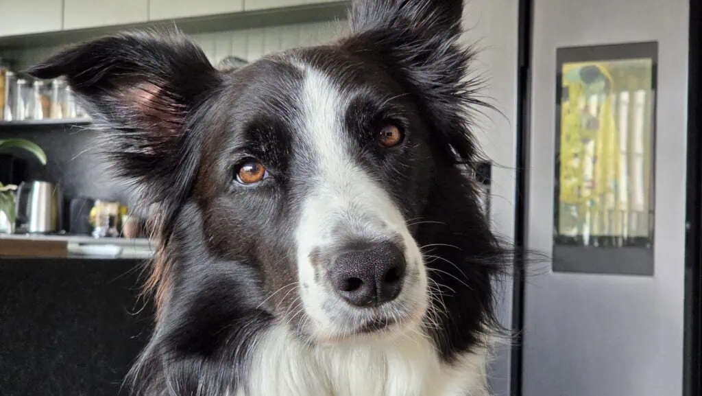 Review: galaxy z fold7 faz do smartphone dobrável um sonho de consumo Review: galaxy z fold7 faz do smartphone dobrável um sonho de consumo. Modelo é mais leve, mais fino, tem novo processador, câmeras aprimoradas e mostra que os dobráveis são mesmo o futuro dos smartphones. Veja o que achamos dele