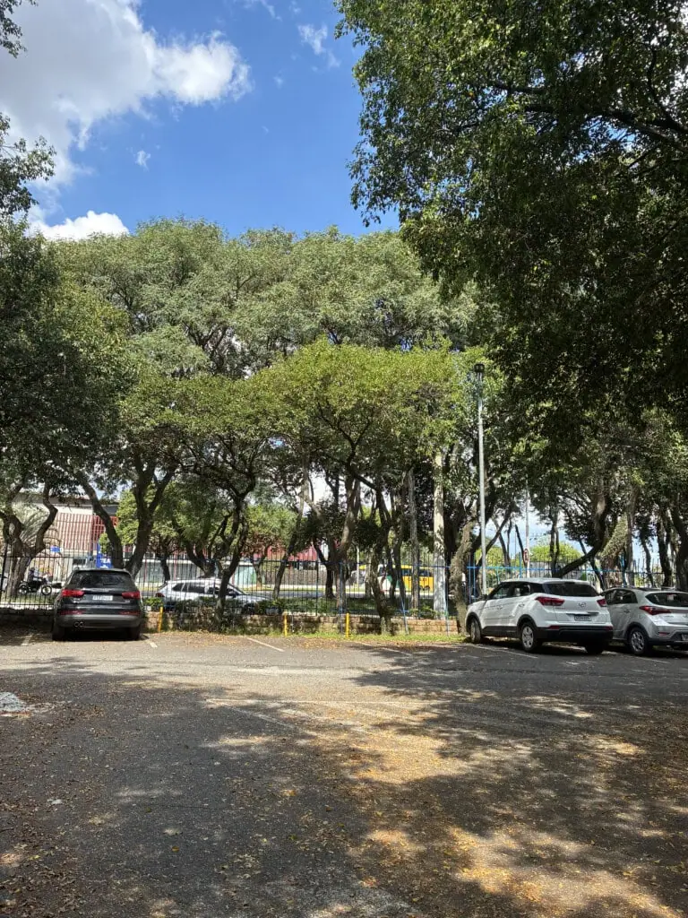 Review: iphone 17e combina economia, inovação e durabilidade Foto tirada com a lente fusion do iphone 17e. (foto: reprodução/enzo sapio/showmetech)