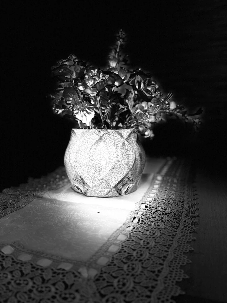 مراجعة: يجمع هاتف iPhone 17e بين السعر المعقول والابتكار والمتانة. صورة ملتقطة بعدسة TrueDepth الخاصة بهاتف iPhone 17e، في وضع البورتريه. (صورة: إعادة إنتاج/إنزو سابيو/شو ميتيك)