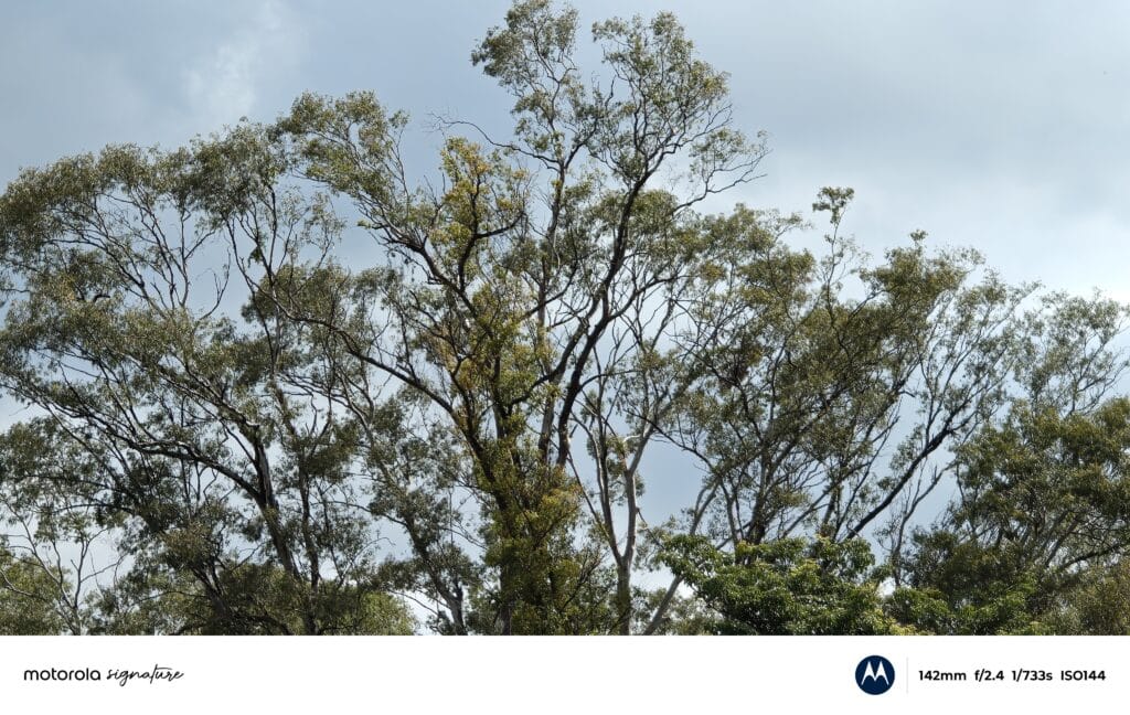 Foto com câmera telefoto do motorola signature