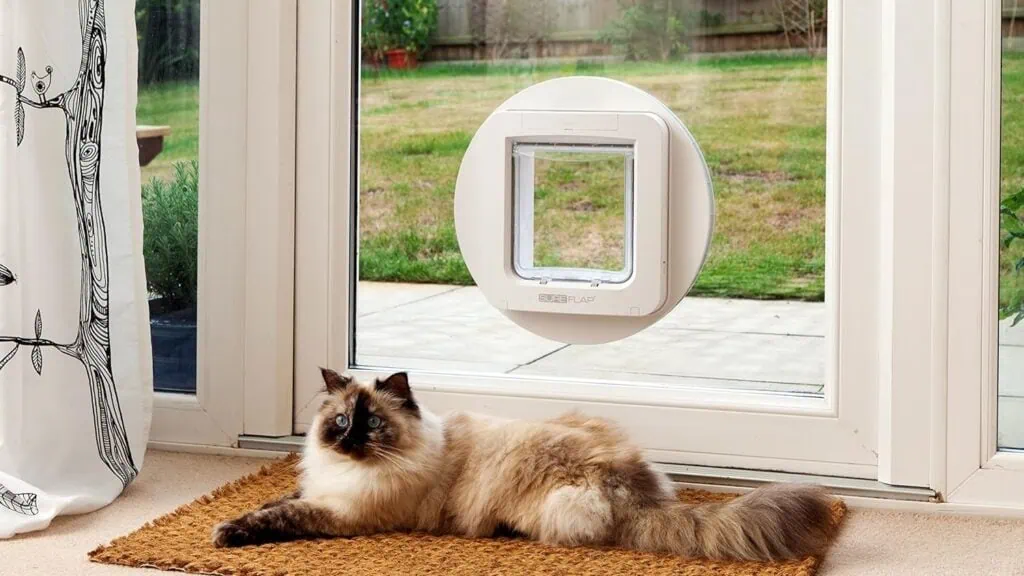 Veja os 30 melhores produtos tecnológicos para pets Imagem da porta automática sure petcare para cachorros e gatos / fonte: amazon