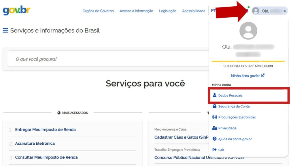 Veja como fazer ou atualizar o rg, cin, cpf, cnh, e-título e outros documentos online Tela da página do gov. Br mostrando como acessar os dados pessoais do usuário