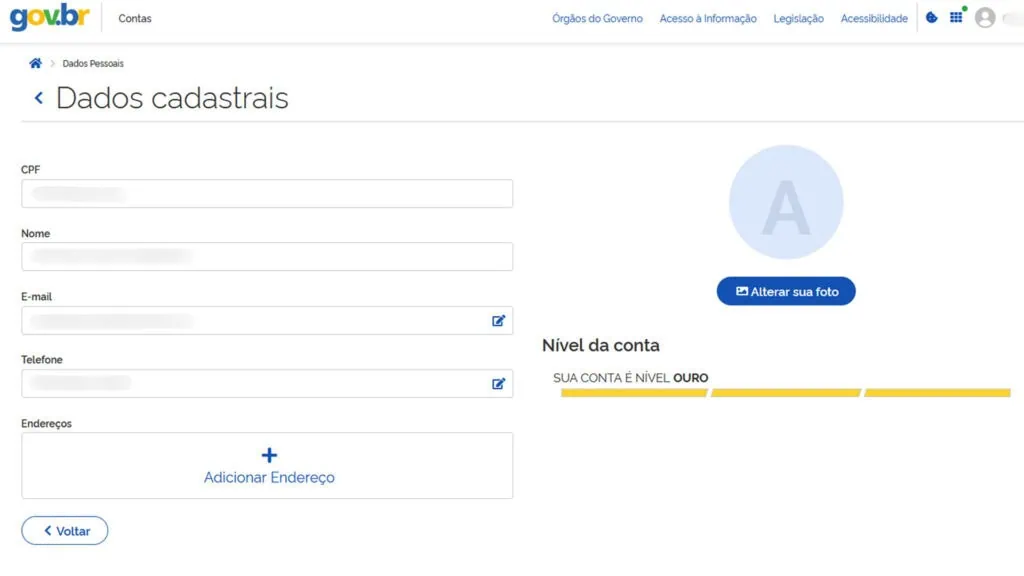 Veja como fazer ou atualizar o rg, cin, cpf, cnh, e-título e outros documentos online Tela da aba de dados cadastrais do gov. Br mostrando informações pessoais borradas