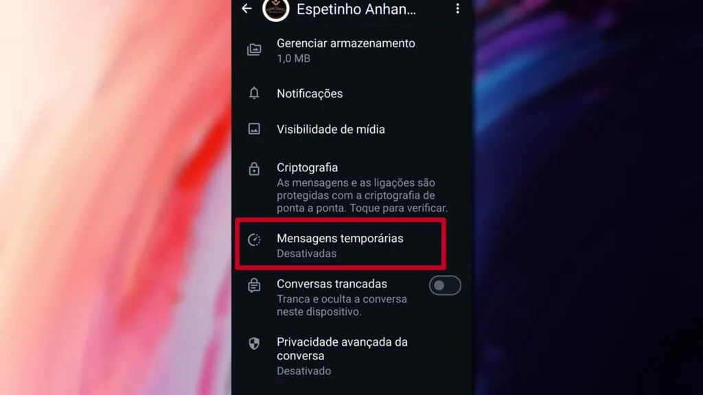 Saiba como liberar espaço no whatsapp Tela de configurações individuais do chat 'espetinho anhan... ' no whatsapp, com destaque em vermelho na opção 'mensagens temporárias', que aparece com o status 'desativadas'