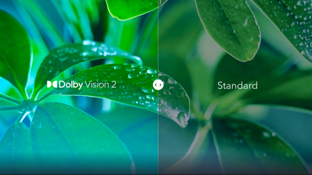 Entenda o que é dolby vision 2 Close-up em folhas cobertas por gotas d'água mostrando a diferença de saturação de verde entre o dolby vision 2 e o modo padrão em tela dividida.