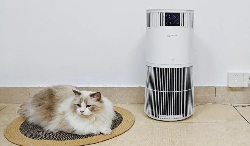 Amicura p2: como o purificador de ar pode melhorar a qualidade do ar em casas com pets