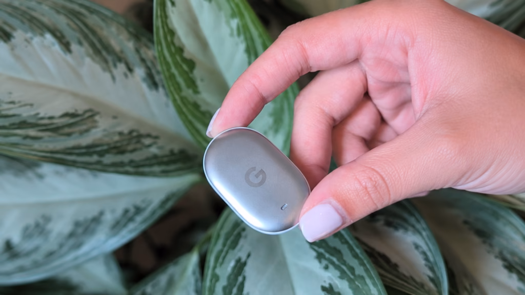 Google lança pixel watch 5 e pixel tag no made by google 2026 Mão segura um pixel tag prateado sobre folhas de uma planta.