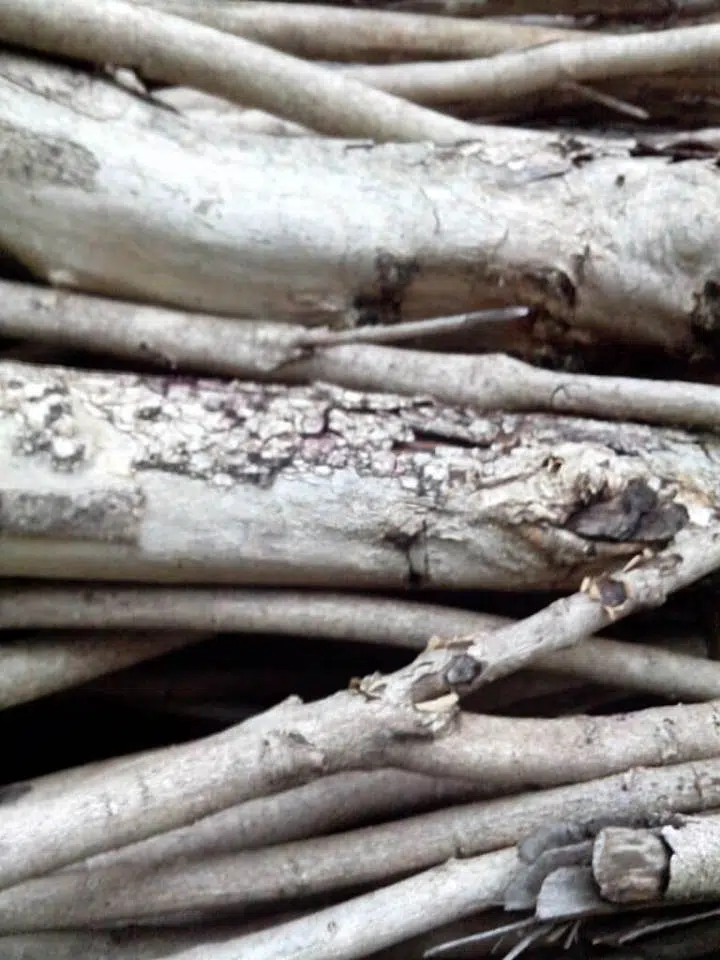 Review: motorola razr d1 (xt918) Img_20130411_174748