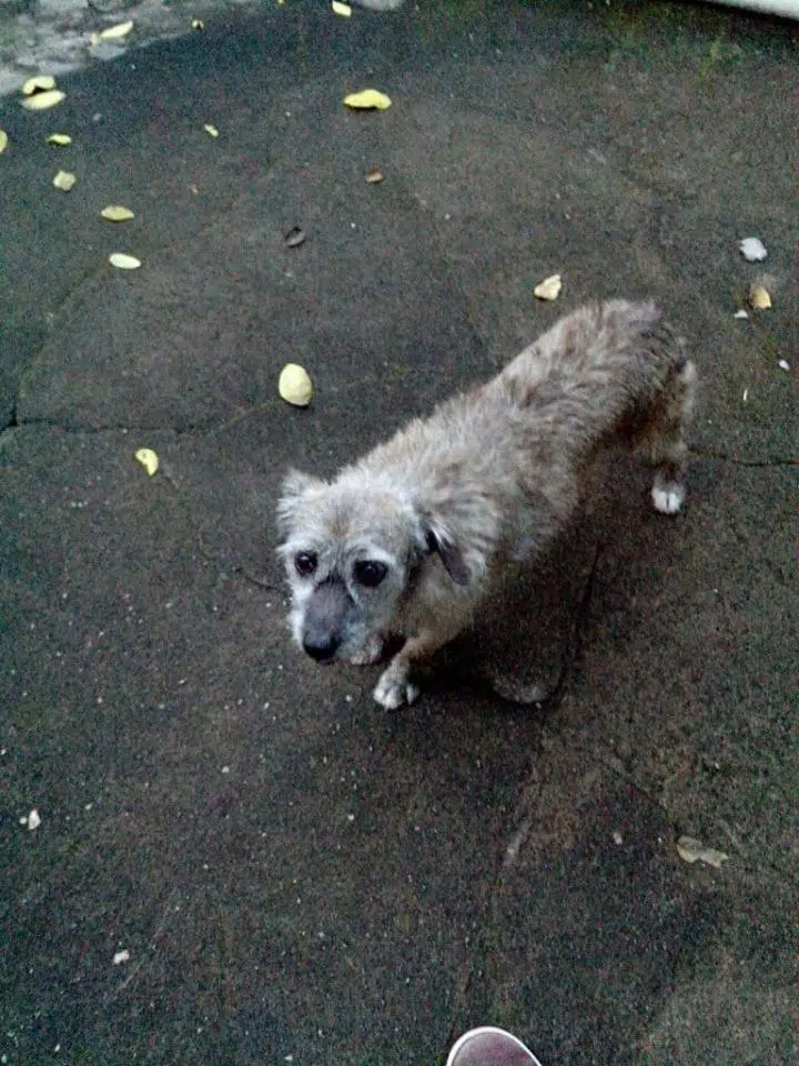 Review: motorola razr d1 (xt918) Img_20130411_174925