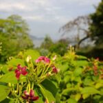 Hands-on: lumia 1020, smartphone da nokia com câmera de 41 megapixels Wp_20131014_14_13_35_pro