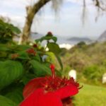 Hands-on: lumia 1020, smartphone da nokia com câmera de 41 megapixels Wp_20131014_14_34_20_pro