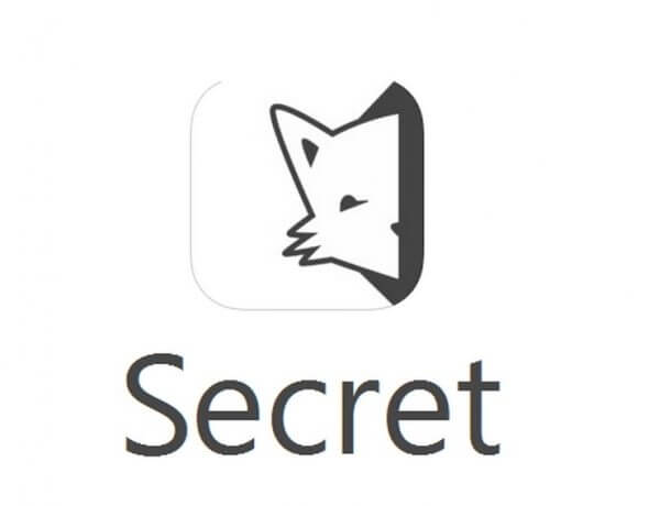 Secret-app-icone-logo