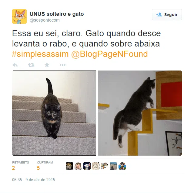 La robe partie 2 : le chat monte-t-il ou descend-il ? biologie-chat-dilemme