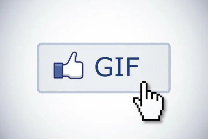 פייסבוק תומכת כעת בגיפים פייסבוק-gif