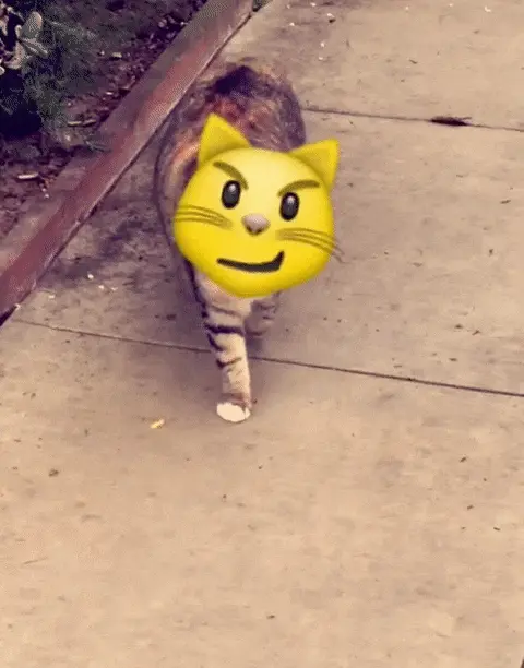 Snapchat agora permite que você coloque um emoji sobre seu rosto em vídeos Giphy