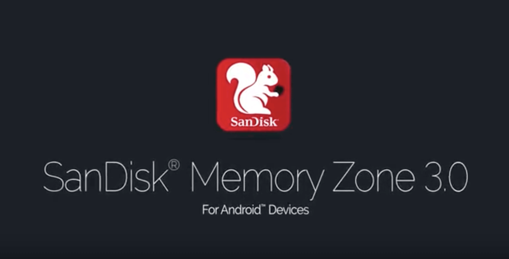 Review: sandisk cartão micro sdxc classe 10 i-3 128 gb