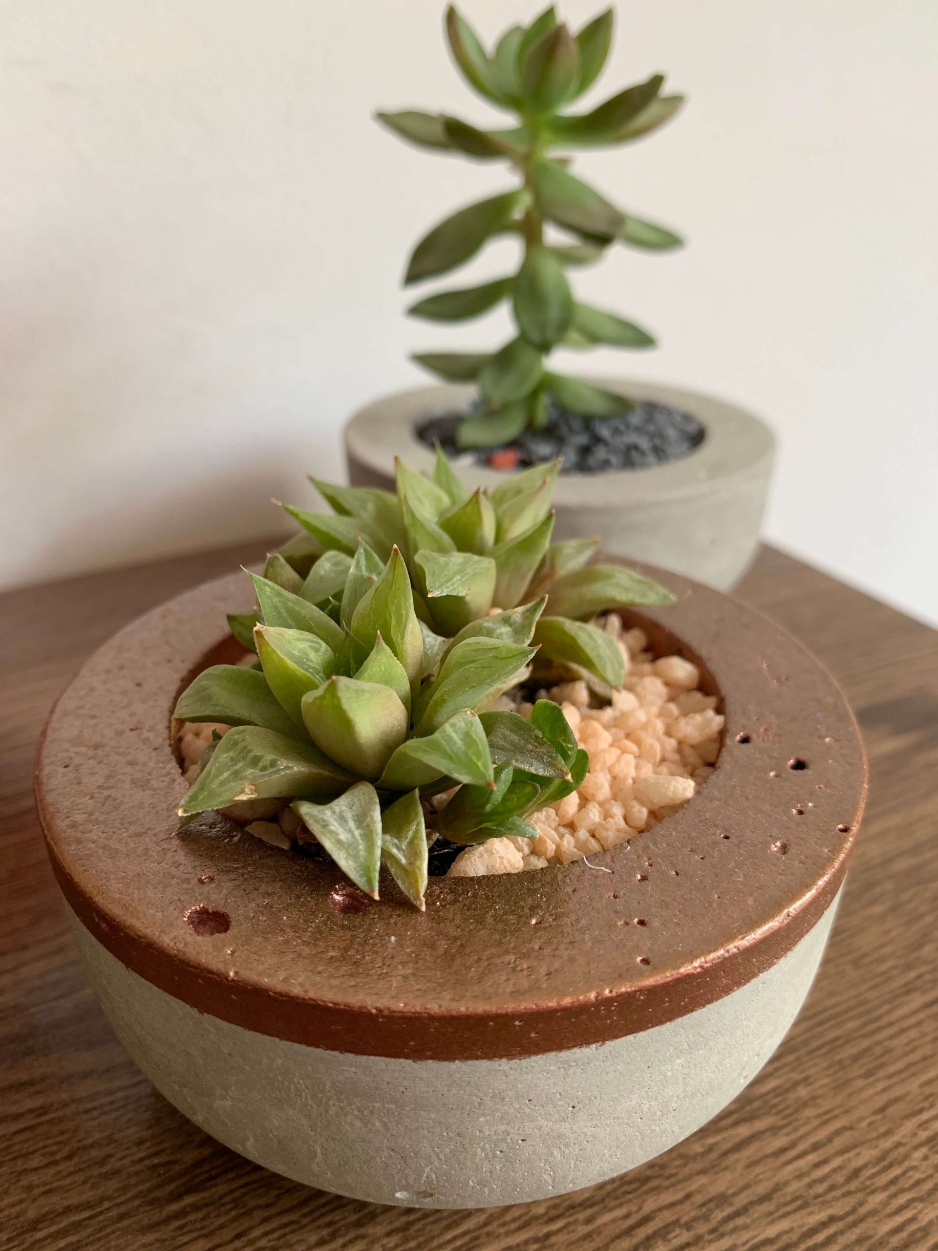 Review: iPhone XR é a aposta da Apple que deu certo