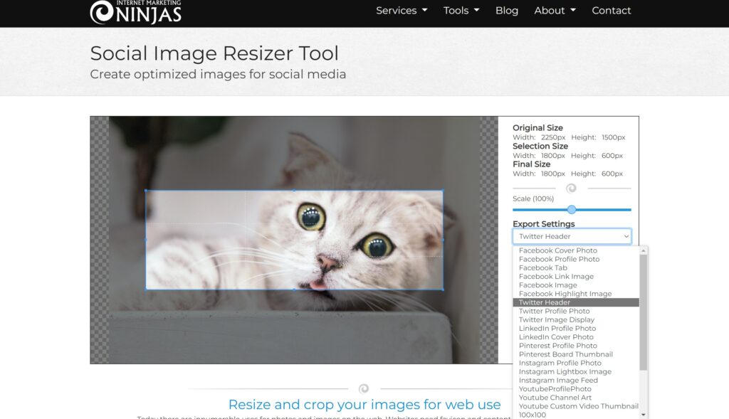 Em busca da foto perfeita: 10 sites gratuitos para redimensionar imagens Em busca da foto perfeita: 10 sites gratuitos para redimensionar imagens. Está cansado de sofrer com fotos com baixa resolução? Listamos 10 sites que você pode usar gratuitamente para melhorar e redimensionar imagens
